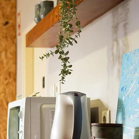 Eco - Tribo Da Auberge de jeunesse Ferrel (Leiria)