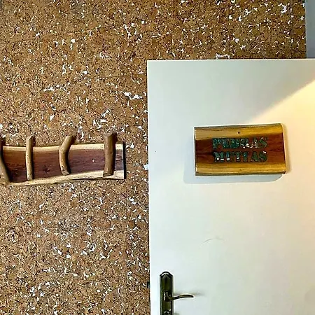 Auberge de jeunesse Eco - Tribo Da
