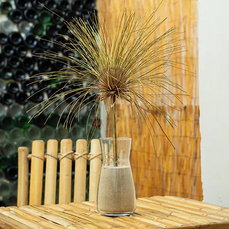 Hostel Eco - Tribo Da Ferrel (Leiria)