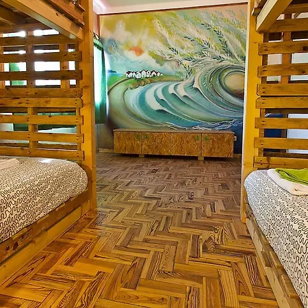 Eco - Tribo Da Феррел