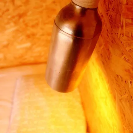 Eco - Tribo Da Hostel Ferrel (Leiria)