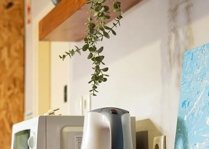 Eco - Tribo Da Ostello Ferrel (Leiria)