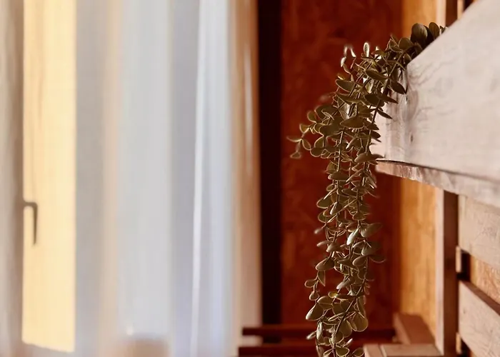 Ostello Eco - Tribo Da