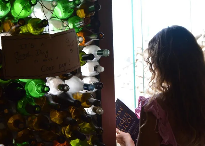 Eco - Tribo Da Ostello