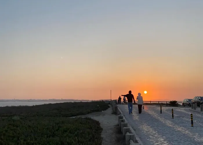 Eco - Tribo Da Ostello