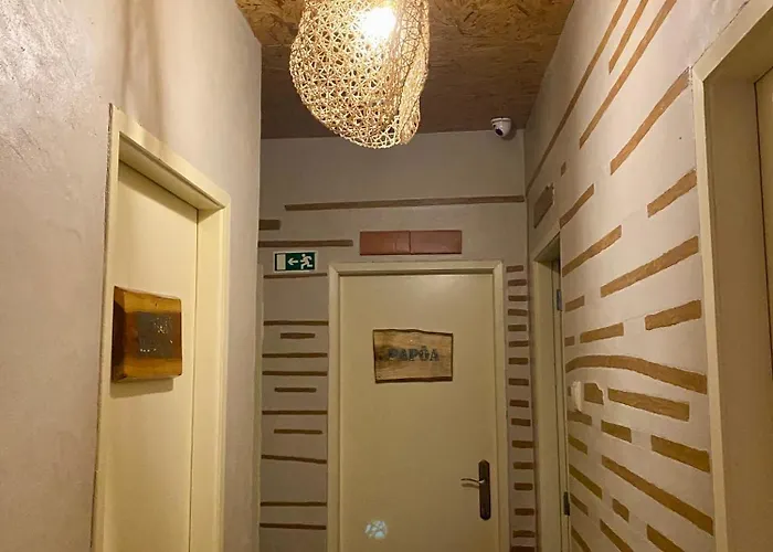 Eco - Tribo Da Ostello *